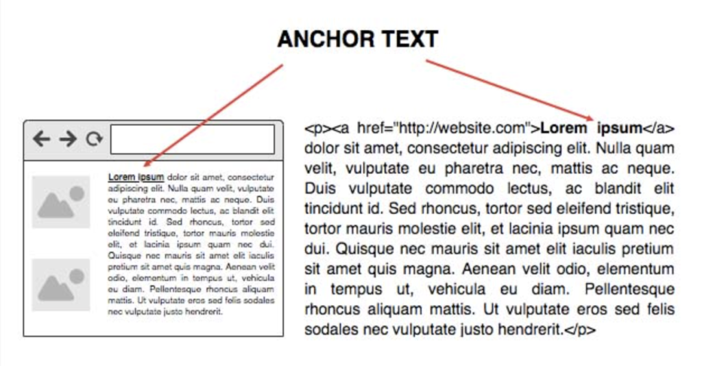 Anchor Text is the content where the user clicks will go to a hyperlink
